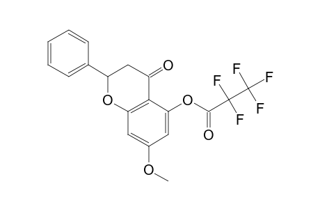 5-Hydroxy-7-methoxyflavanone, pentafluoropropionate