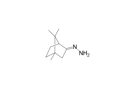 (E)-(-)-Epicamphorone hydrazone