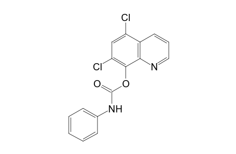 5,7-dichloro-8-quinolinol, carbanilate (ester)