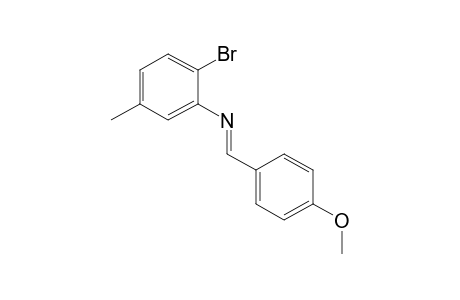 6-bromo-N-(p-methoxybenzylidene)-m-toluidine