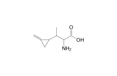 Cyclopropanepropionic acid, .alpha.-amino-.beta.-methyl-2-methylene-