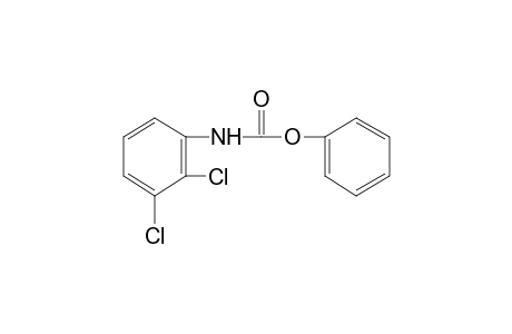 2,3-dichlorocarbanilic acid, phenyl ester