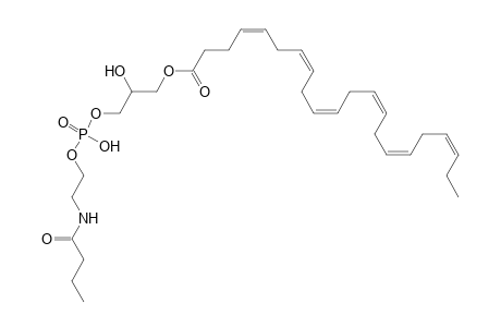 LNAPE 22:6/N-4:0