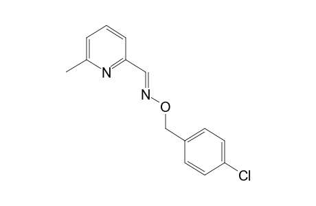 6-methylpicolinaldehyde, O-(p-chlorobenzyl)oxime