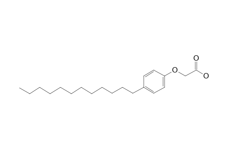 (p-Dodecylphenoxy)acetic acid