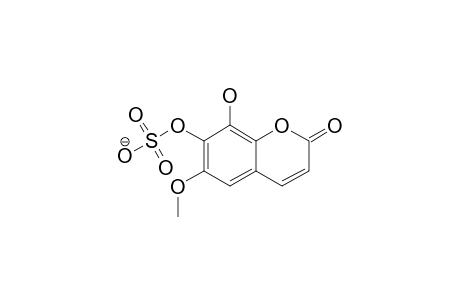 FRAXETIN-7-O-SULFATE