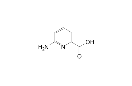 6-Aminopyridine-2-carboxylic acid