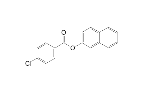 4-Chlorobenzoic acid, 2-naphthyl ester