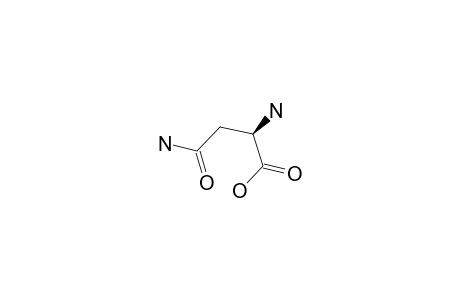 D-Asparagine