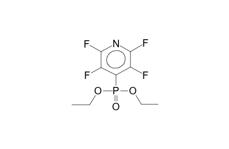 DIETHYL 2,3,5,6-TETRAFLUOROPYRIDYLPHOSPHONATE