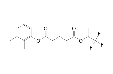 Glutaric acid, 1,1,1-trifluoroprop-2-yl 2,3-dimethylphenyl ester