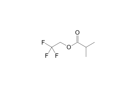 2,2,2-Trifluoroethyl isobutyrate