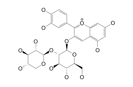 CYANIDIN-3-O-SAMBUBIOSIDE;CYANIDIN-3-O-(2''-O-BETA-XYLOPYRANOSYL-O-BETA-GLUCOPYRANOSIDE)