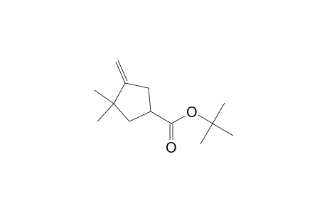tert-Butyl 3,3-dimethyl-4-methylenecyclopentanecarboxylate