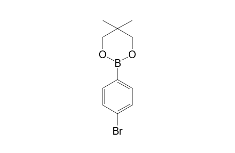 4-Bromobenzeneboronic acid neopentyl glycol ester