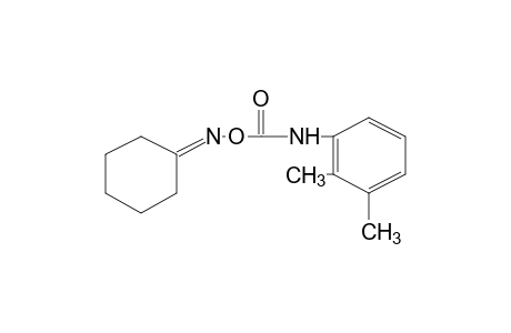 cyclohexanone, O-[(2,3-xylyl)carbamoyl]oxime