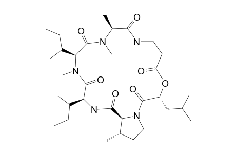 HOMODESTCARDIN