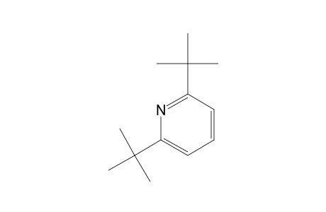 2,6-DI-tert-BUTYLPYRIDINE