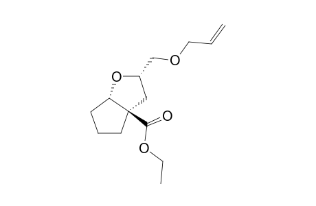 ETHYL-(1-RS,3-RS,5-RS)-3-ALLYLOXYMETHYL-5-(2-OXABICYCLO-[3.3.0]-OCTANE)-CARBOXYLATE