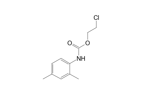 2,4-dimethylcarbanilic acid, 2-chloroethyl ester