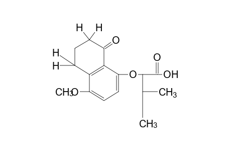 2-[(4-methoxy-8-oxo-5,6,7,8-tetrahydro-1-naphthyl)oxy]-3-methyl-butyric acid