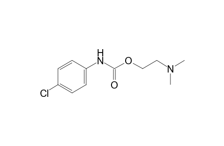 p-chlorocarbanilic acid, 2-(dimethylamino)ethyl ester