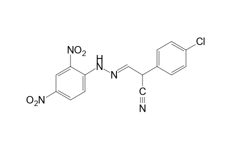 2-(p-chlorophenyl)malonaldehydonitrile, (2,4-dinitrophenyl)hydrazone