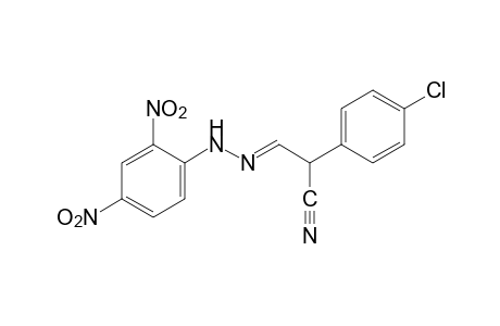 2-(p-chlorophenyl)malonaldehydonitrile, (2,4-dinitrophenyl)hydrazone