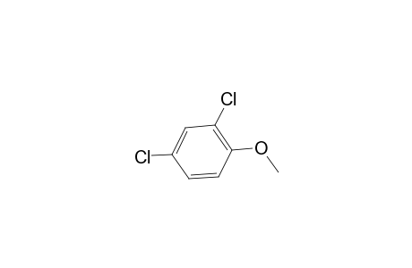 2,4-dichloroanisole
