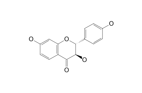 Trans-3,4',7-trihydroxyflavanone