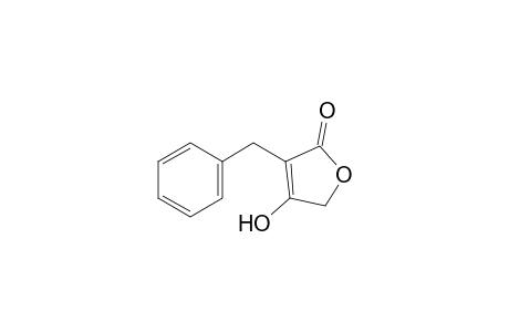 3-benzyl-4-hydroxy-2(5H)-furanone