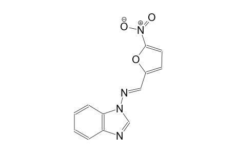 benzimidazol-1-yl-[(5-nitro-2-furyl)methylene]amine