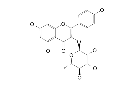 KAEMPFEROL-3-RHAMNOPYRANOSIDE