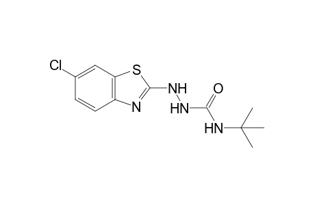 4-tert-butyl-1-(6-chloro-2-benzothiazolyl)semicarbazide