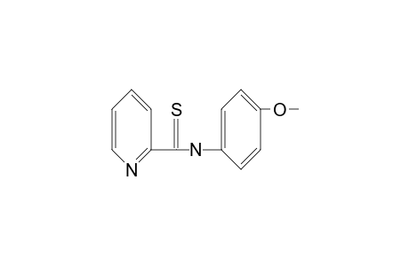 THIO-p-PICOLINANISIDIDE