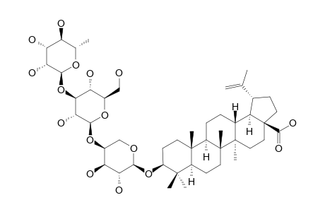 3-BETA-[(O-BETA-D-GLUCOPYRANOSYL-(1->3)-O-ALPHA-L-RHAMNOPYRANOSYL-(1->2)-ALPHA-L-ARABINOPYRANOSYL)-OXY]-LUP-20-(29)-EN-28-OIC_ACID