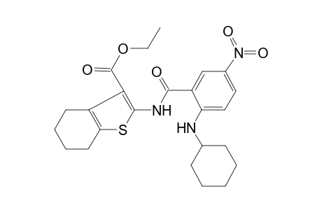 benzo[b]thiophene-3-carboxylic acid, 2-[[2-(cyclohexylamino)-5-nitrobenzoyl]amino]-4,5,6,7-tetrahydro-, ethyl ester