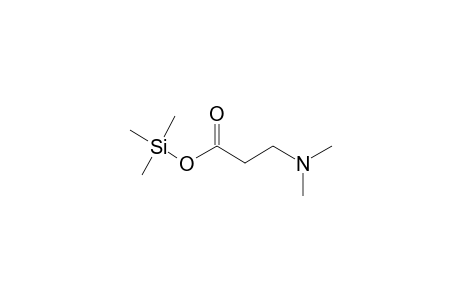 3-(Dimethylamino)propionic acid, trimethylsilyl ester