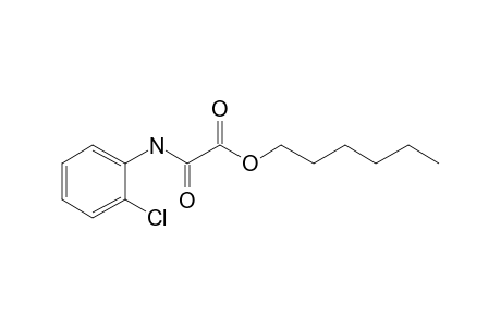 Oxalic acid, momoamide, N-(2-chlorophenyl)-, hexyl ester