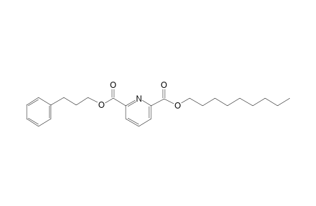 2,6-Pyridinedicarboxylic acid, nonyl 3-phenylpropyl ester