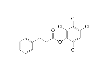 3-Phenylpropionic acid, 2,3,4,6-tetrachlorophenyl ester