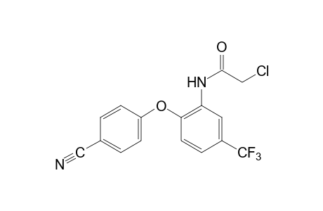 2-CHLORO-6'-(p-CYANOPHENOXY)-alpha,alpha,alpha-TRIFLUORO-m-ACETOTOLUIDIDE