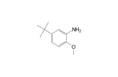 5-tert-Butyl-o-anisidine