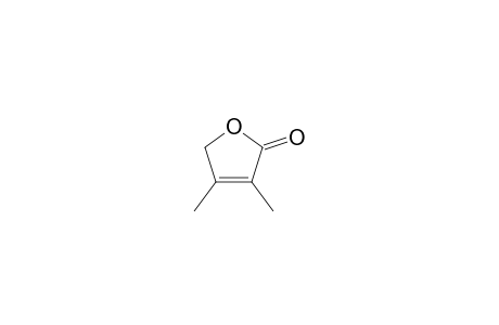 3,4-DIMETHYLFURAN-2-(5H)-ONE