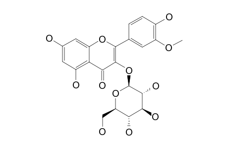 ISORHAMNETIN-3-O-BETA-GALACTOPYRANOSIDE