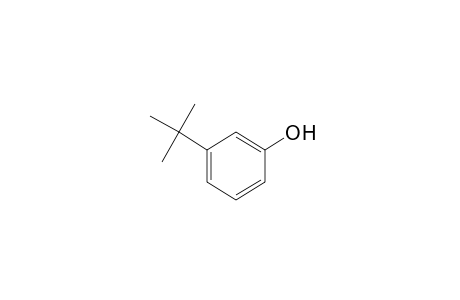 3-Tert-butylphenol