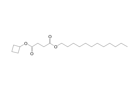 Succinic acid, cyclobutyl dodecyl ester