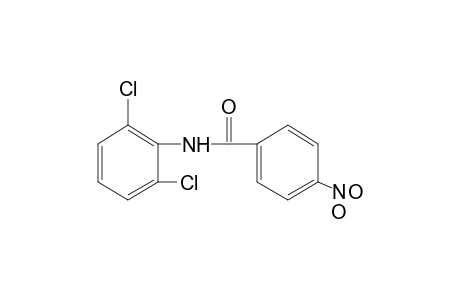2',6'-dichloro-4-nitrobenzanilide