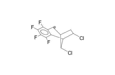 3,4-TETRAFLUOROBENZO-6-EXO,8-EXO-DICHLOROBICYCLO[3.2.1]OCTEN-2-ONIUMCATION