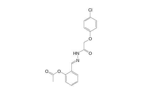 N'-(2-acetoxybenzylidene)-2-(4-chlorophenoxy)acethydrazide